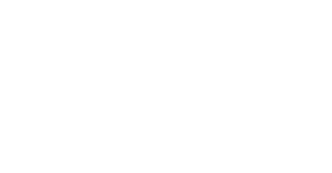 logo bxpert